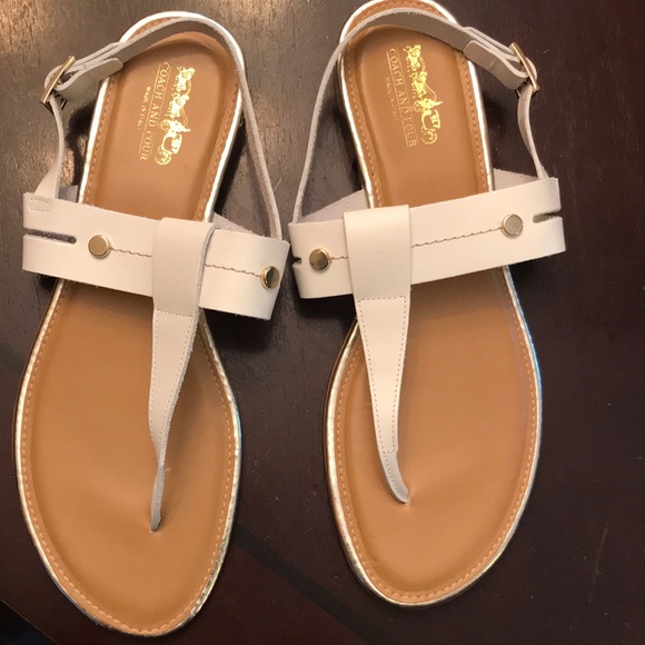 miu miu leather ankle boots